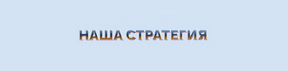 НАША СТРАТЕГИЯ